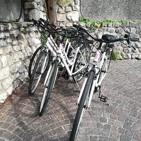 Francy Panorama View