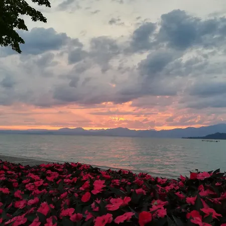 Francy Panorama View